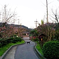 20140223_174827.jpg