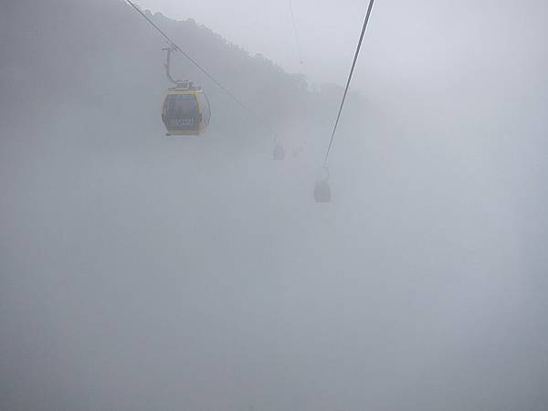 IMG_2625.JPG IMG_2625.JPG