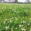 20140429_092109.jpg