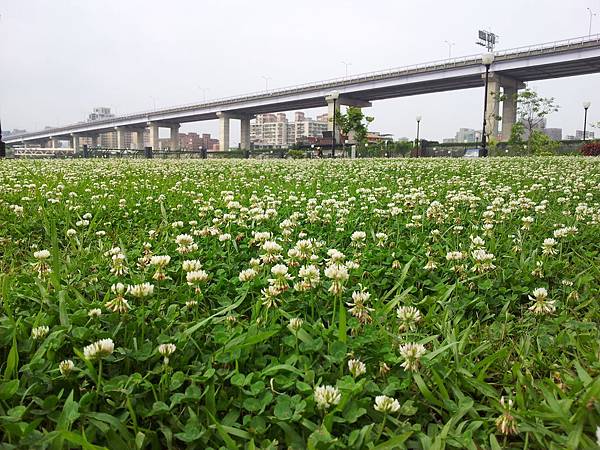 20140429_092125.jpg