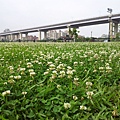 20140429_092125.jpg