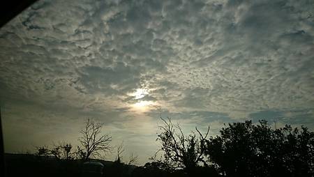 DSC_0109.JPG DSC_0109.JPG