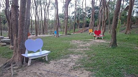 DSC_0115.JPG DSC_0115.JPG