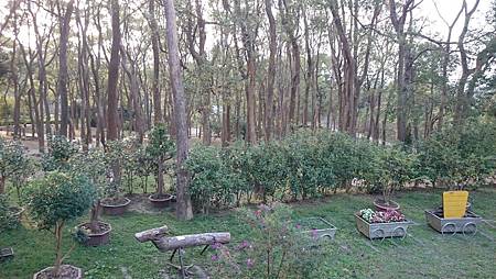 DSC_0149.JPG DSC_0149.JPG