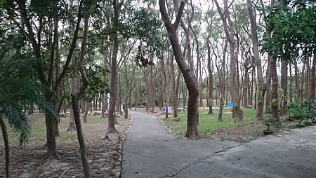 DSC_0175.JPG DSC_0175.JPG