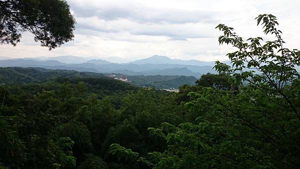 DSC_0089.JPG DSC_0089.JPG