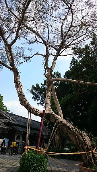 DSC_0107.JPG DSC_0107.JPG