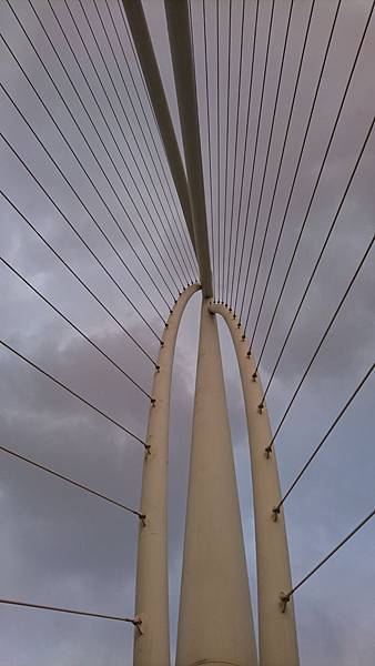 DSC_0175.JPG DSC_0175.JPG