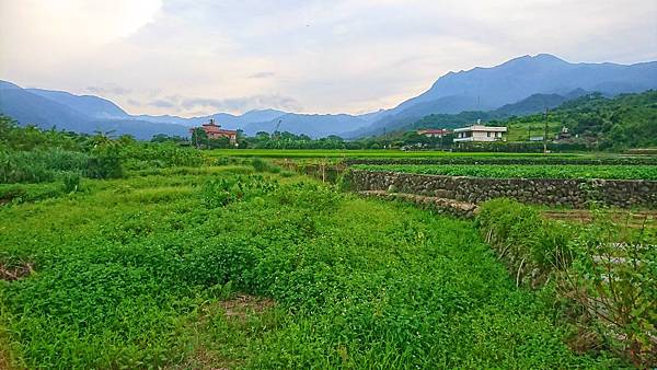 DSC_0483.JPG DSC_0483.JPG