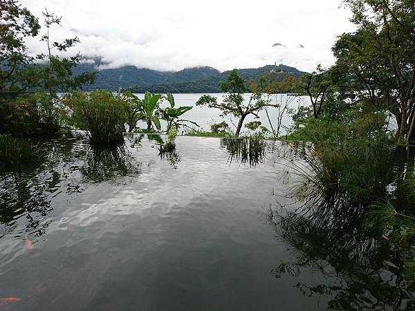 DSC_0454.JPG DSC_0454.JPG