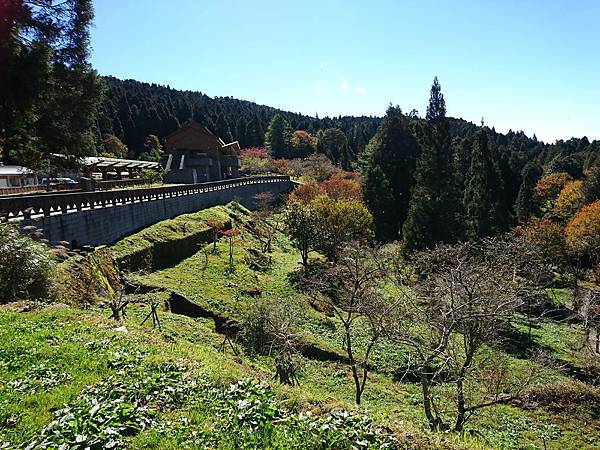 DSC_0074.JPG DSC_0074.JPG