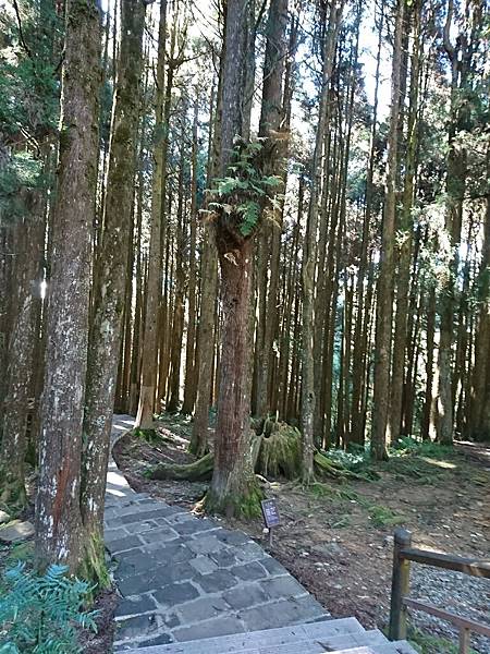 DSC_0096.JPG DSC_0096.JPG