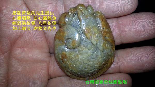 黃竑鈞白心臟龍魚 蚵殼港拾獲 心臟瑞獸 八里拾獲 加工師父 謝秋文先生_副本