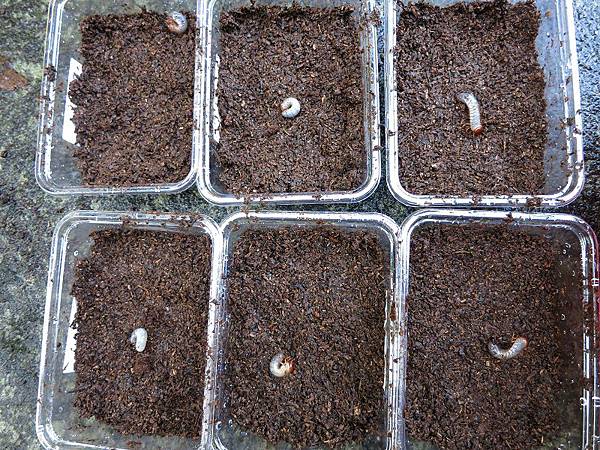 IMG_0475.JPG IMG_0475.JPG