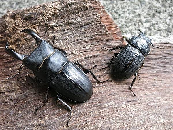 IMG_1689.JPG IMG_1689.JPG