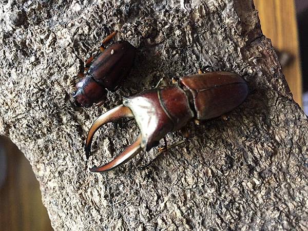 IMG_2770.JPG IMG_2770.JPG