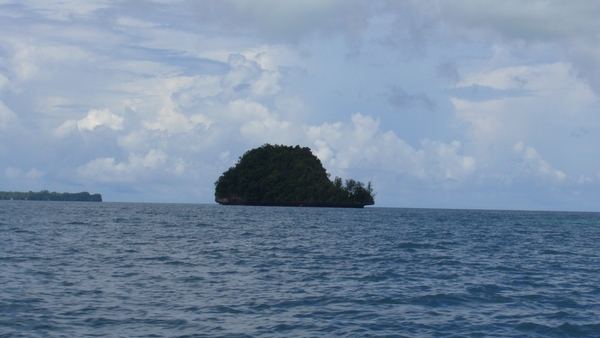 鯨魚島大特寫