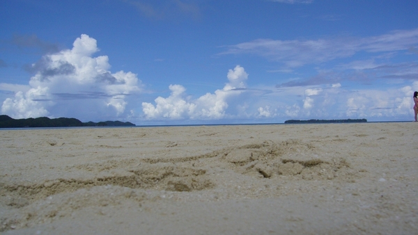 沙灘的沙