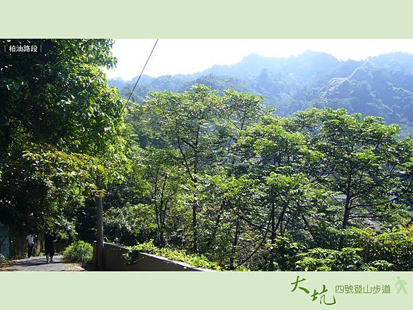 長青橋前的柏油路段