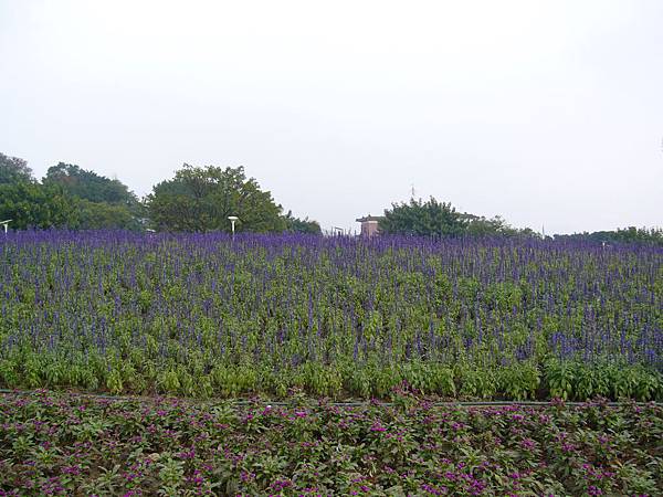 地景花海區