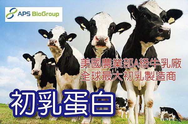 i010003_1472792950.jpg 試用