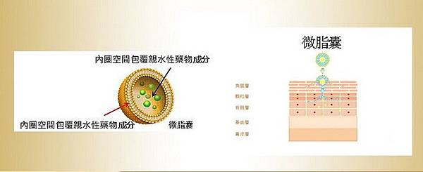 20170328_170328_0018.jpg 試用