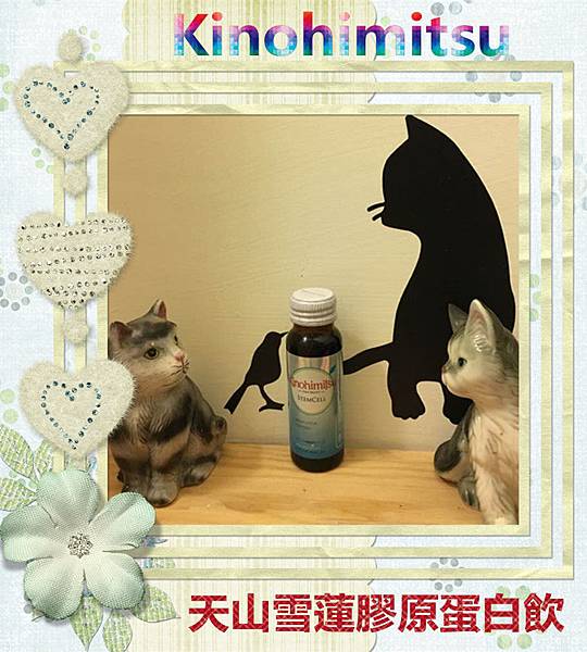 19113806_10212162462330487_727244299293669315_n.jpg 試用