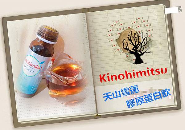 20170617_170617_0002.jpg 試用