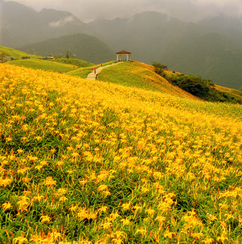 花蓮縣富里六十石山.jpg