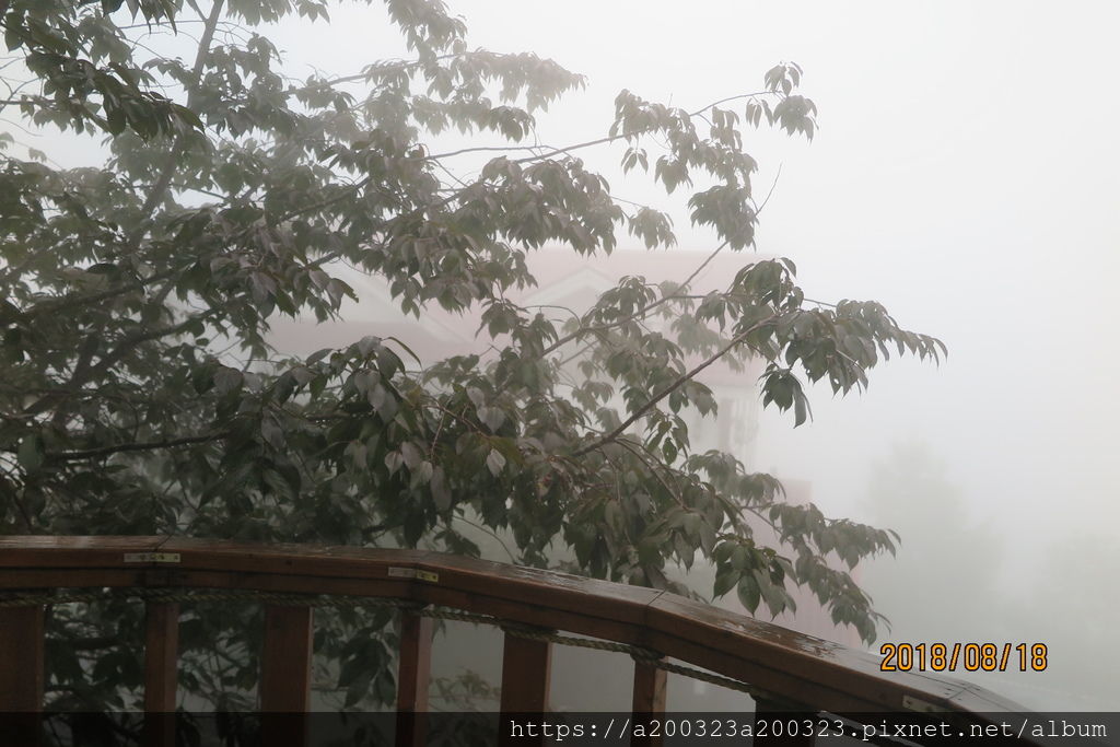 IMG_0083.JPG IMG_0083.JPG