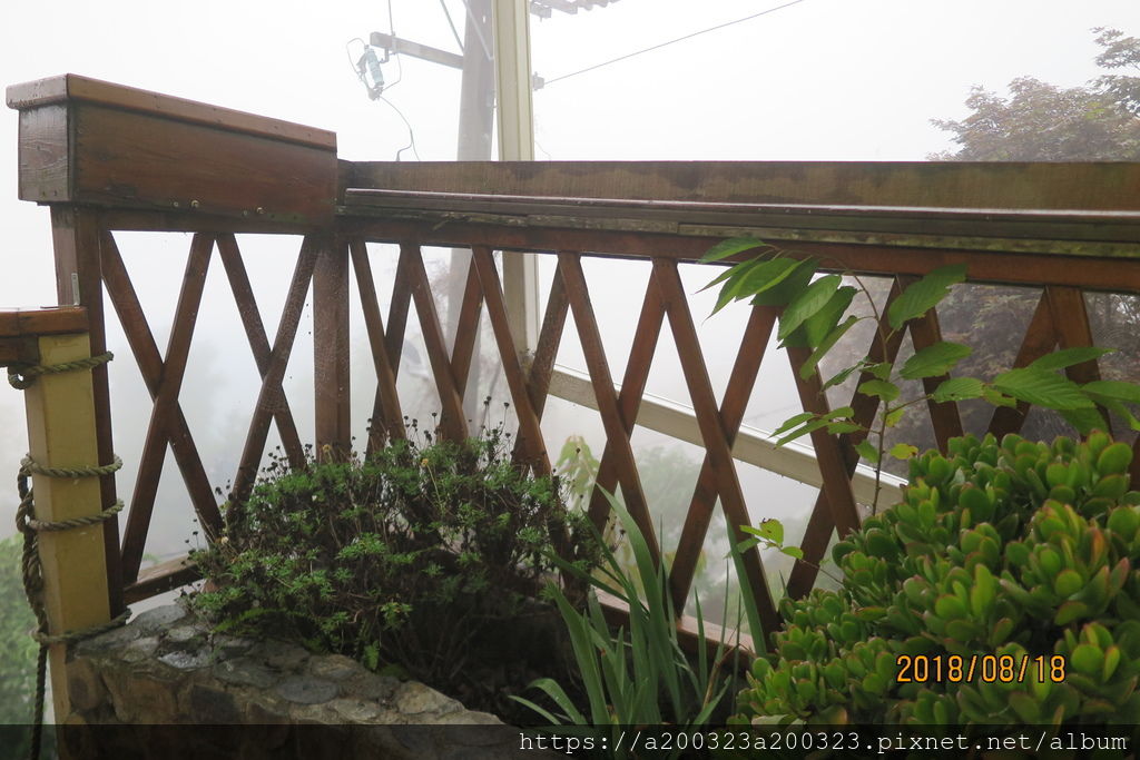 IMG_0099.JPG IMG_0099.JPG