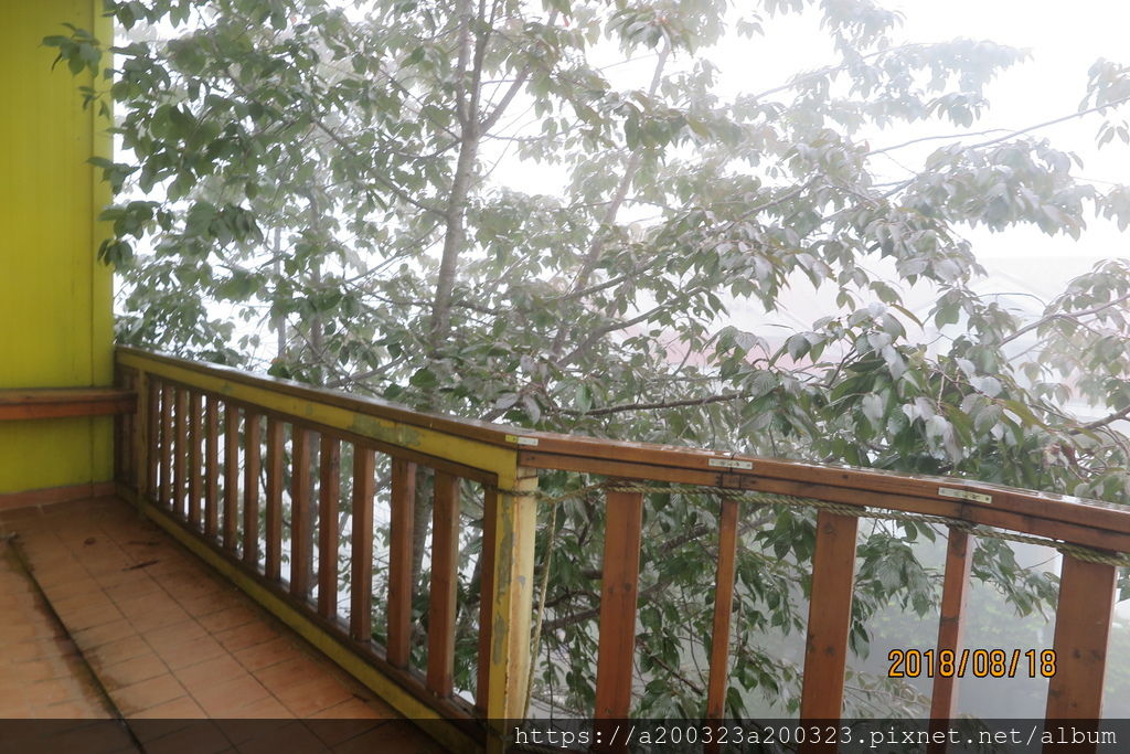 IMG_0101.JPG IMG_0101.JPG