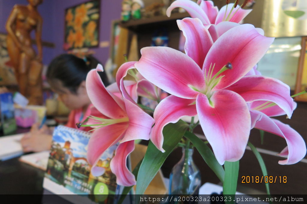 IMG_0068.JPG IMG_0068.JPG