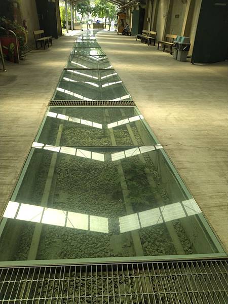 IMG_20191011_124122.jpg IMG_20191011_124122.jpg