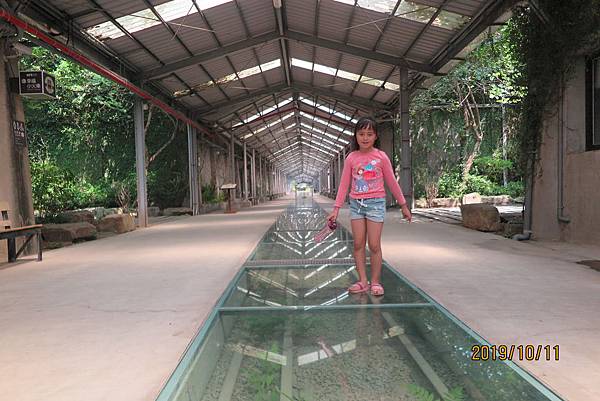 IMG_5992.JPG IMG_5992.JPG