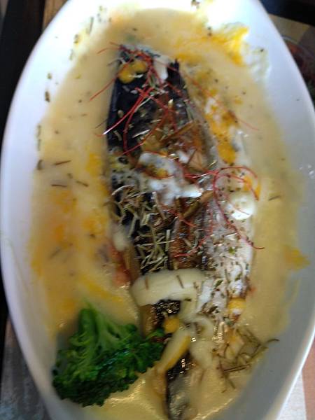 IMG_20191011_121806.jpg IMG_20191011_121806.jpg