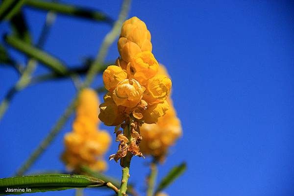 IMG_8029 IMG_8029