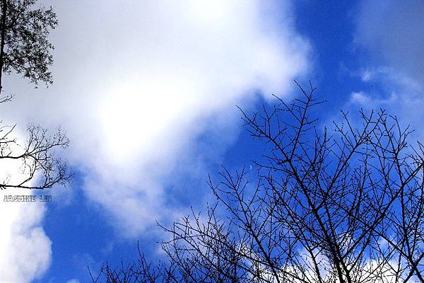 IMG_0339 IMG_0339