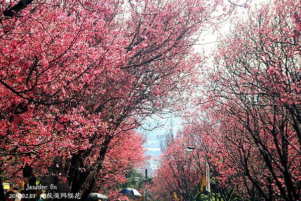 IMG_0008 - 複製.jpg IMG_0008 - 複製.jpg