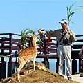 2019馬祖之旅_191004_0036