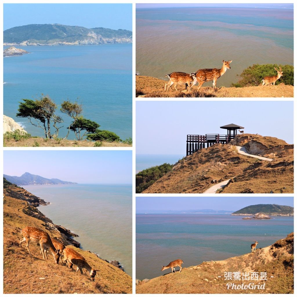 S__29442086 S__29442086