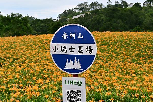 541465332_1553568758978753_4232545259496627086_n (1).jpg