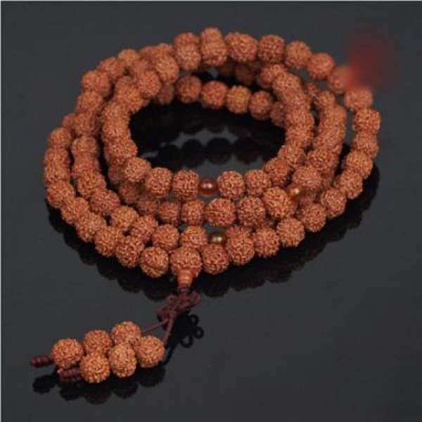 植物篇 菩提樹 炮彈樹 傻傻分不清 碧兒的足跡 痞客邦