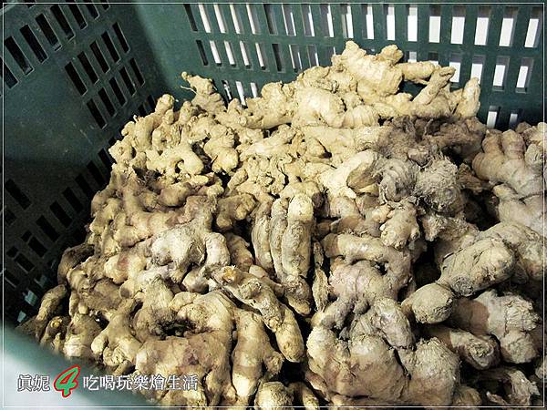 16278310209_2aaed89888_c