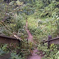 Taoyuan County-20111021-00027.jpg