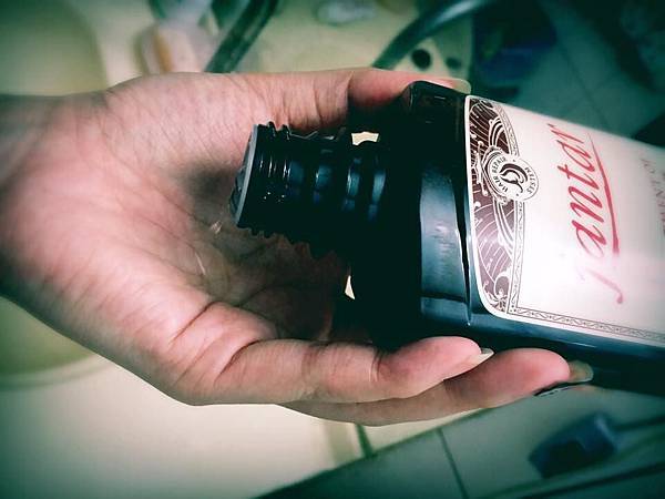 11881020_1035033283181995_903749826_n 試用