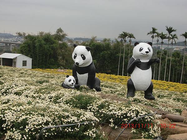 桐羅杭菊.柿餅季 020