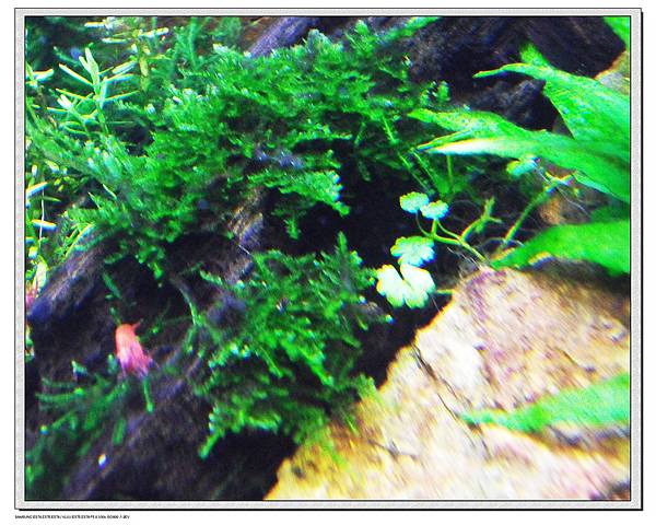 SAM_0700 SAM_0700