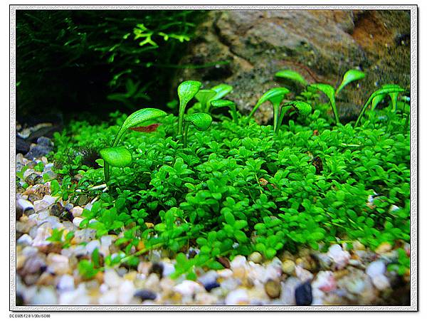 IMG_3868 IMG_3868