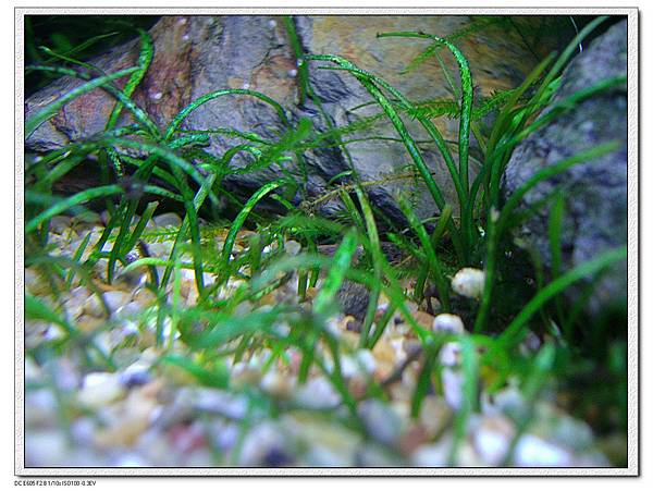 IMG_3933 IMG_3933